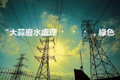 “大蒜廢水處理，綠色環(huán)保新篇章”